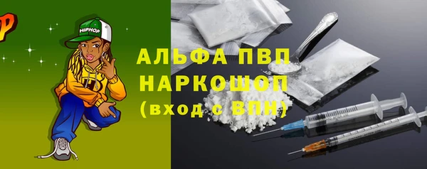 индика Арсеньев