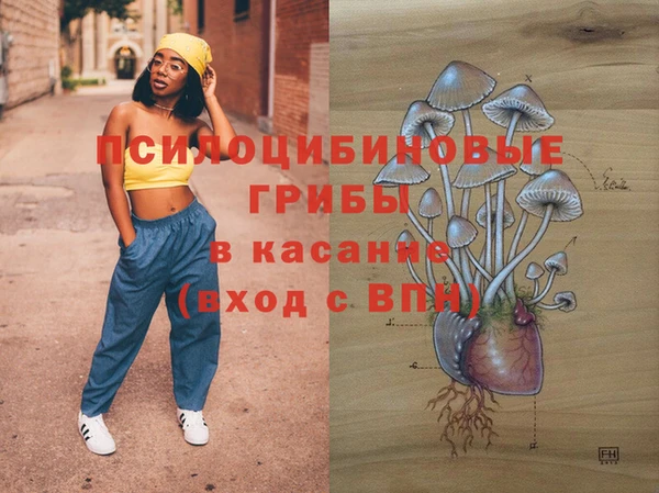 гашик Протвино