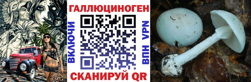 Псилоцибиновые грибы GOLDEN TEACHER  Куса 